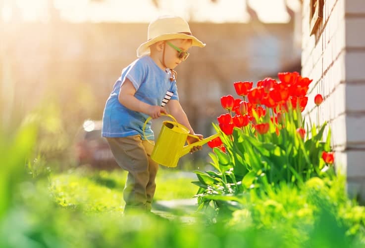 Family Summer Long Weekend Ideas