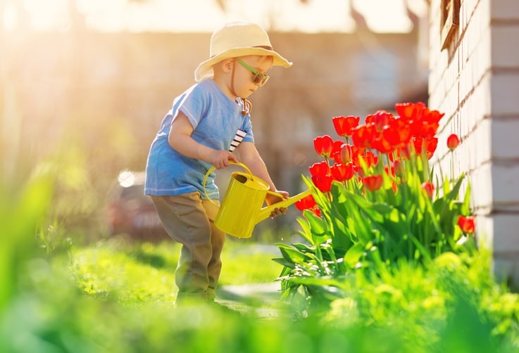 Family Summer Long Weekend Ideas