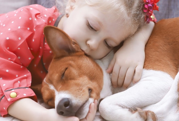 Should You Get a Pet?